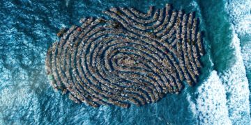 Quels pays africains souffrent le plus des intempéries ?