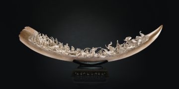 Tuer et laisser mourir, la chasse aux trophées en Afrique subsaharienne