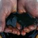 Avec l’East African oil pipeline, « Total fait du sale »