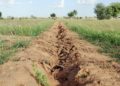 La Grande muraille verte, vecteur de développement durable au Sahel