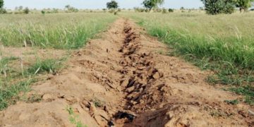 La Grande muraille verte, vecteur de développement durable au Sahel