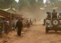 En RDC, simples insurgés ou terroristes de Daech ?