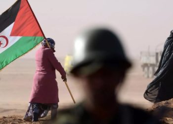 Sahara Occidental : brouille diplomatique entre le Maroc et l’Allemagne ?
