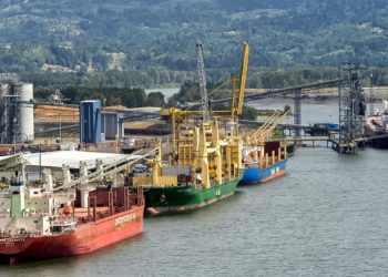 L’Egypte se tourne vers l’Afrique pour collecter ses taxes