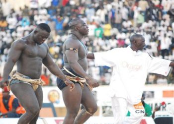 Les titans de la lutte sénégalaise retrouvent les sables de l’arène
