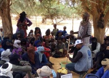 Niger : Une ONG française s’attire les foudres du gouverneur de Diffa