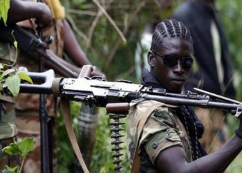 Le Cameroun s’enfonce dans la guerre civile
