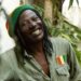 Alpha Blondy, le cœur battant du reggae africain
