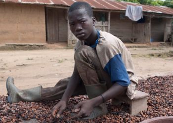 La traite d’enfants en Côte d’Ivoire, un fléau qui n’en finit pas
