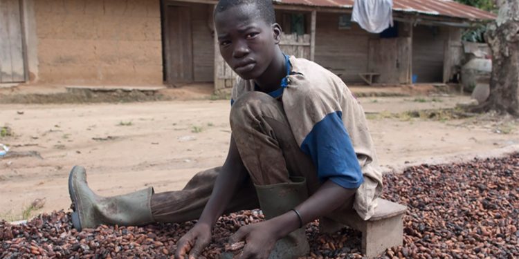 La traite d’enfants en Côte d’Ivoire, un fléau qui n’en finit pas