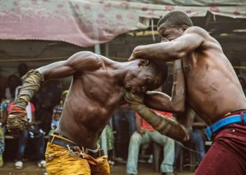 Le Dambe : le sport nigérian où l’on se brise les os