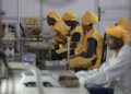 Le développement des entreprises privées africaines freiné par les faiblesses de gouvernance publique