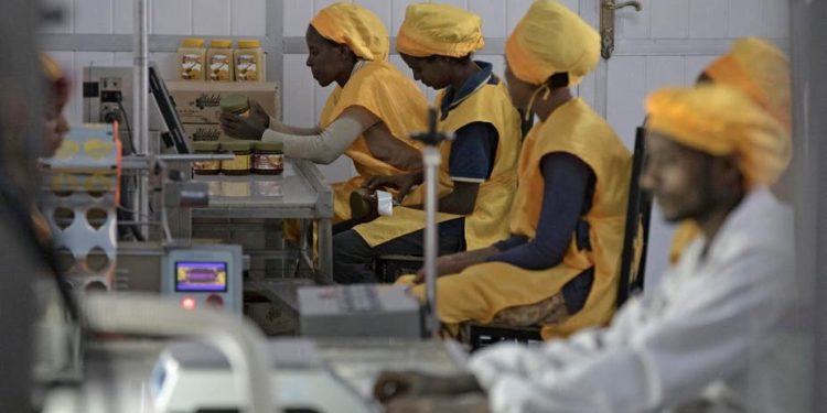 Le développement des entreprises privées africaines freiné par les faiblesses de gouvernance publique
