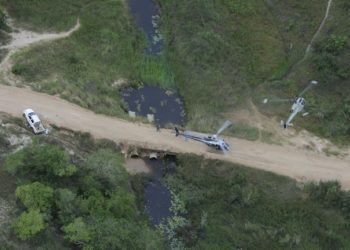 Mozambique : les blancs, et même les chiens, évacués avant les noirs