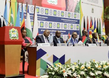 Les chefs de la SADC veulent envoyer une armée au Mozambique
