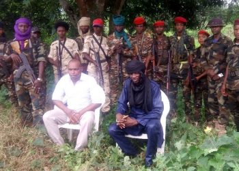 Les 3R causent un incident diplomatique entre la Centrafrique et le Tchad