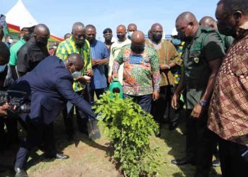 « Green Ghana », la campagne de reboisement mobilise le pays