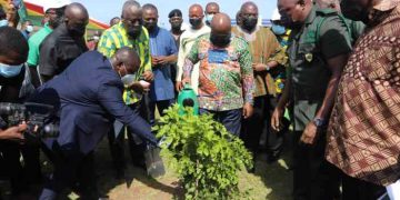 « Green Ghana », la campagne de reboisement mobilise le pays