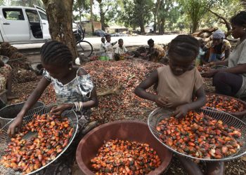Traite d’enfants : La Cour suprême américaine soutient Nestlé et Cargill