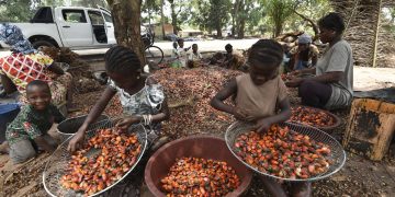 Traite d’enfants : La Cour suprême américaine soutient Nestlé et Cargill