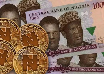 Nigéria-cryptomonnaie : vers le naira numérique, le NigCoin