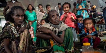 Ethiopie : l’ONU tire la sonnette d’alarme face à la famine au Tigré