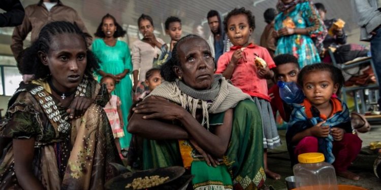 Ethiopie : l’ONU tire la sonnette d’alarme face à la famine au Tigré