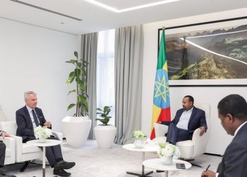 UE : « Le gouvernement éthiopien a dit qu’il exterminerait les Tigréens »
