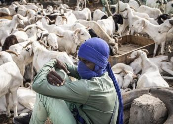 En Afrique, une fête de l’Aïd al-Adhâ à haut risque