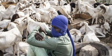 En Afrique, une fête de l’Aïd al-Adhâ à haut risque