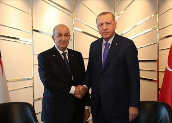 Algérie-Turquie, la redoutable alliance