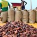 Pourquoi l’industrie du cacao pourrait mettre fin à la déforestation en Afrique de l’Ouest