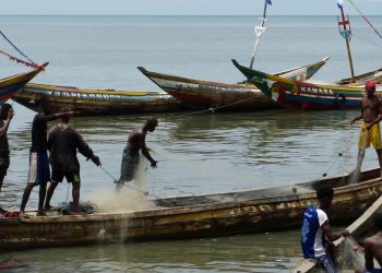 En Sierra Leone, les Chinois comptent-ils importer la surpêche ?