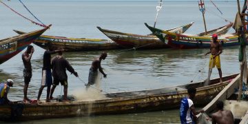 En Sierra Leone, les Chinois comptent-ils importer la surpêche ?
