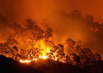 Incendies : pourquoi l’Afrique s’enflamme-t-elle chaque année ?