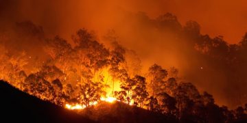 Incendies : pourquoi l’Afrique s’enflamme-t-elle chaque année ?
