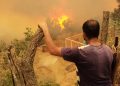 Algérie incendies