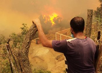 Algérie incendies