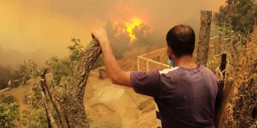 Algérie incendies