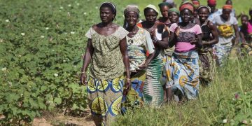 En Afrique, les études statistiques invisibilisent les femmes