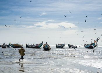 Comment l’Europe participe à la surpêche en Afrique de l’Ouest