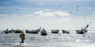 Comment l’Europe participe à la surpêche en Afrique de l’Ouest