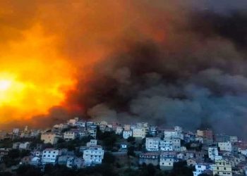 À l’épreuve du feu et de la pandémie, un regain de solidarité nationale en Algérie