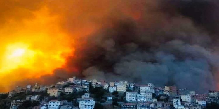 À l’épreuve du feu et de la pandémie, un regain de solidarité nationale en Algérie