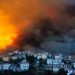À l’épreuve du feu et de la pandémie, un regain de solidarité nationale en Algérie