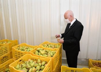 Kaïs Saïed navigue-t-il à vue ou a-t-il un plan pour la Tunisie ?