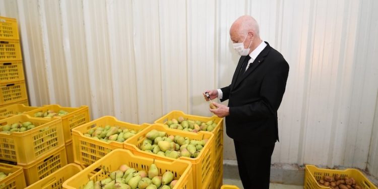 Kaïs Saïed navigue-t-il à vue ou a-t-il un plan pour la Tunisie ?