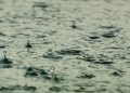Cérémonies et prières de la pluie, des traditions ancestrales en Afrique