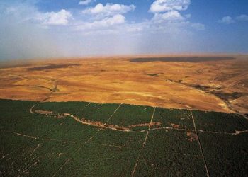 Barrage vert : comment l’Algérie a arrêté le désert