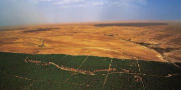 Barrage vert : comment l’Algérie a arrêté le désert